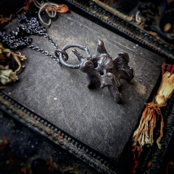 Electroformed Vertebrae Necklace - Picture 8 of 8